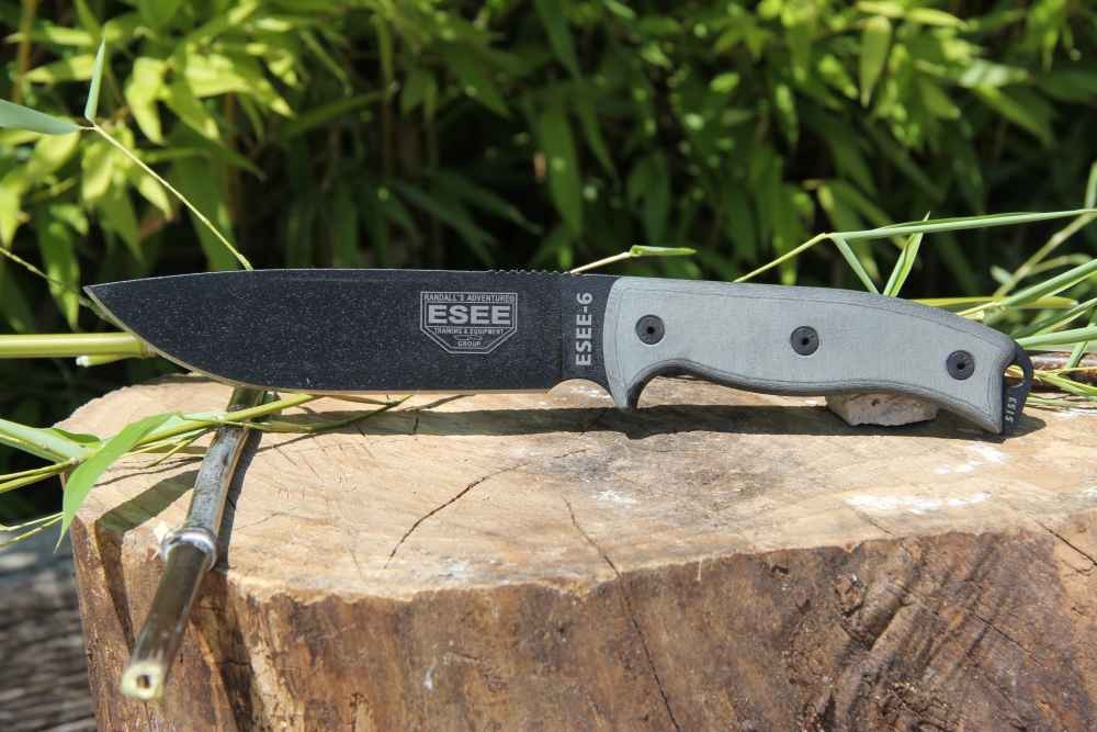 ESEE-6